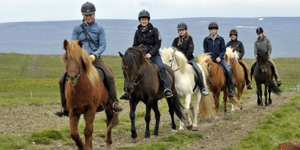 Icelandic horse ride Gauksmyri