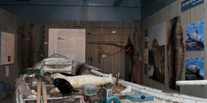 Selasetur Íslands Icelandic Sealcenter