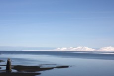 Hvítserkur lúrir við botn Húnafjarðar í Húnaflóa.
