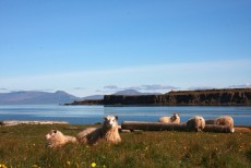 Hindisvík er fögur vík yzt á Vatnsnsi
