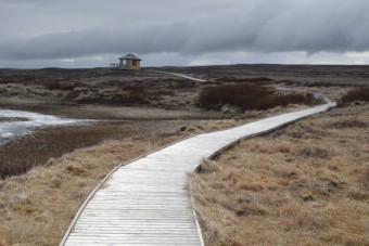 The bird watching hut Photo: GMHK