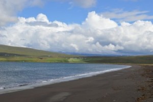 Miðfjörður River Delta