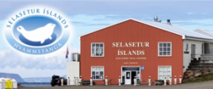 Selasetur slands