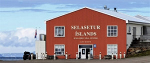 Icelandic Seal Center  - Selasetur Íslands
